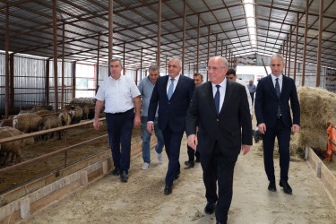 Dövlət Proqramı ilə bağlı Qobustanda görülmüş işlər barədə tədbir keçirildi