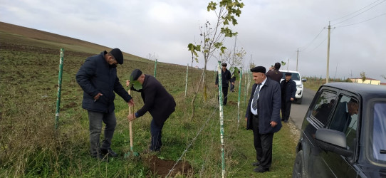 04.11.2025 – ci il tarixdə Qobustan rayonu ərazisində “Zəfər Günü” ilə əlaqədar ağacəkmə aksiyası keçirilmişdir.