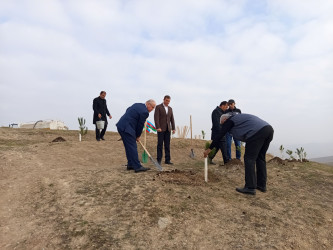 27.11.2025 - ci il tarixdə Qobustan Rayon İcra Hakimiyyətinin başçısı Adil Məmmədov Təklə kəndi ərazisində Ekologiya və Təbii sərvətlər nazirliyinin təşkilatçılığı ilə keçirilən ağacəkmə aksiyasında iştirak etmişdir.