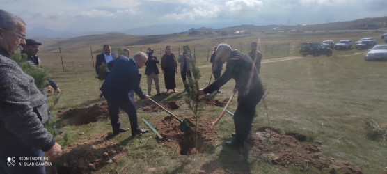 04.11.2025 – ci il tarixdə Qobustan rayonu ərazisində “Zəfər Günü” ilə əlaqədar ağacəkmə aksiyası keçirilmişdir.