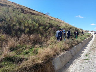Qobustan rayonunda "Konstitusiya və Suverenlik İli" ilə əlaqədar iməclik.