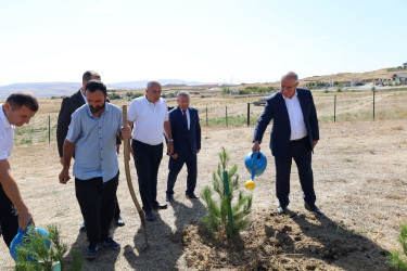 27 Sentyabr – Anım Günü ilə əlaqədar Qobustanda ağacəkmə aksiyası keçirilib.