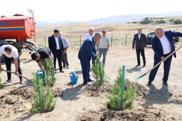 27 Sentyabr – Anım Günü ilə əlaqədar Qobustanda ağacəkmə aksiyası keçirilib.