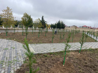 Qobustan rayonu yeni iqtisadi inkişaf mərhələsində.