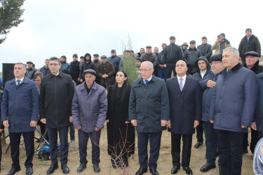 Qobustan rayonu Nabur kəndində Vətən müharibəsi Şəhidi Mayılov Murad Gülümxan oğlunun anım günü tədbiri