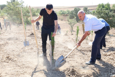 27 Sentyabr – Anım Günü ilə əlaqədar Qobustanda ağacəkmə aksiyası keçirilib.
