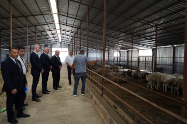 Dövlət Proqramı ilə bağlı Qobustanda görülmüş işlər barədə tədbir keçirildi