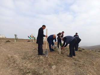 27.11.2025 - ci il tarixdə Qobustan Rayon İcra Hakimiyyətinin başçısı Adil Məmmədov Təklə kəndi ərazisində Ekologiya və Təbii sərvətlər nazirliyinin təşkilatçılığı ilə keçirilən ağacəkmə aksiyasında iştirak etmişdir.